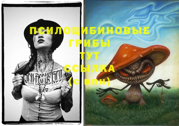 МДПВ Вязники